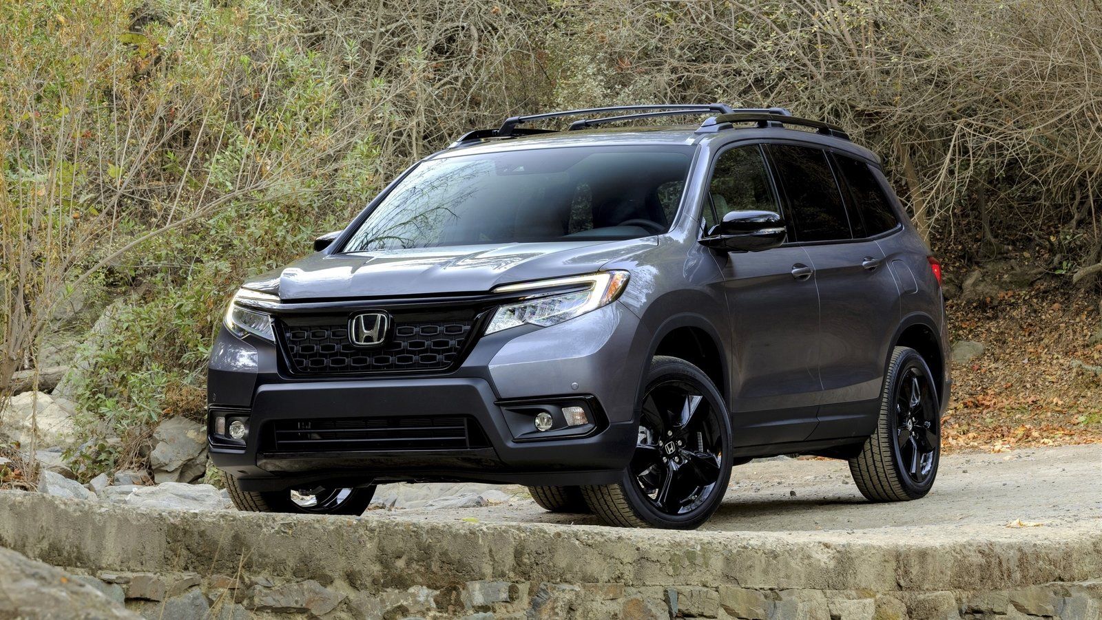 2020 honda passport elite