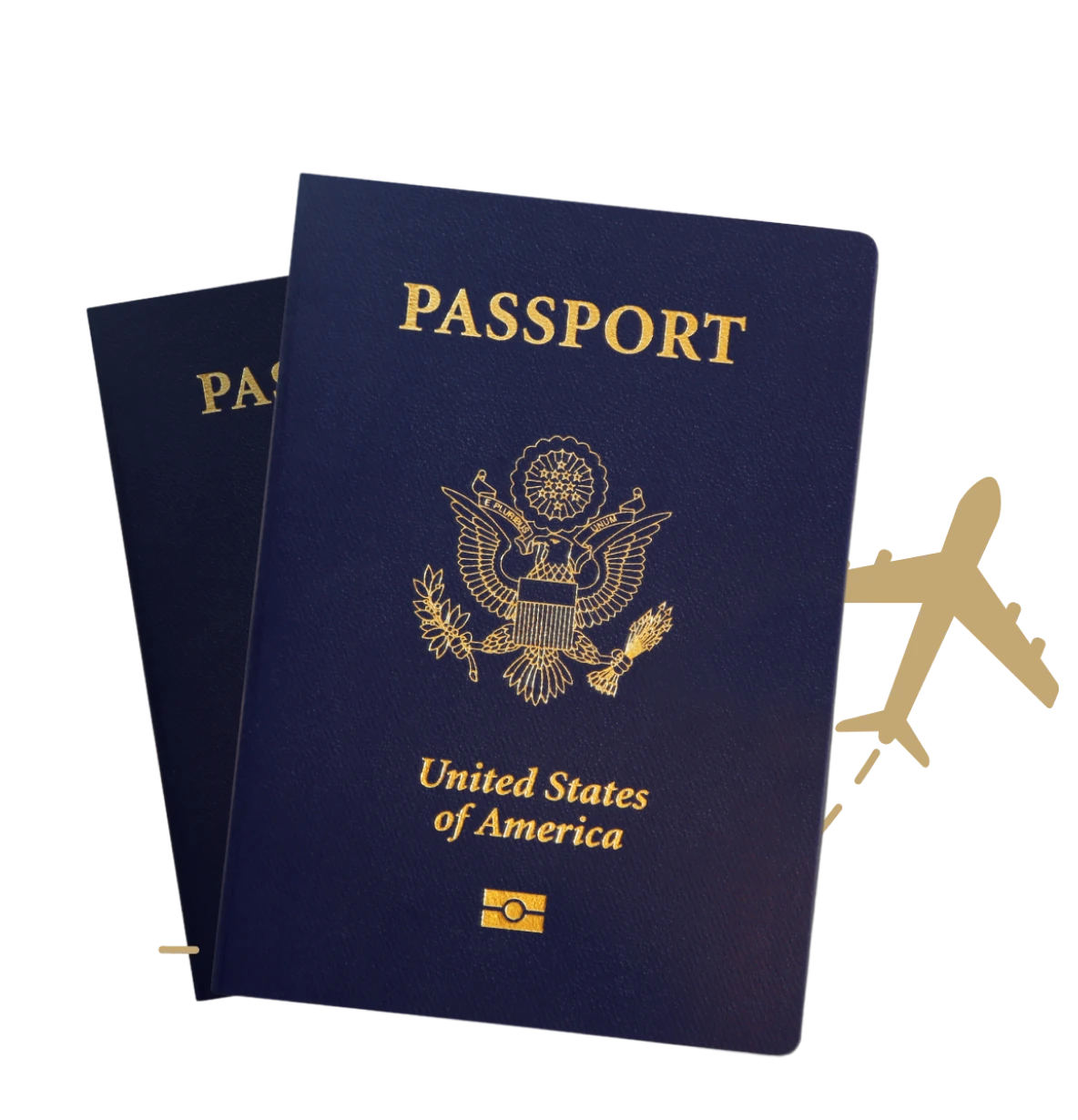 a passport and visa services