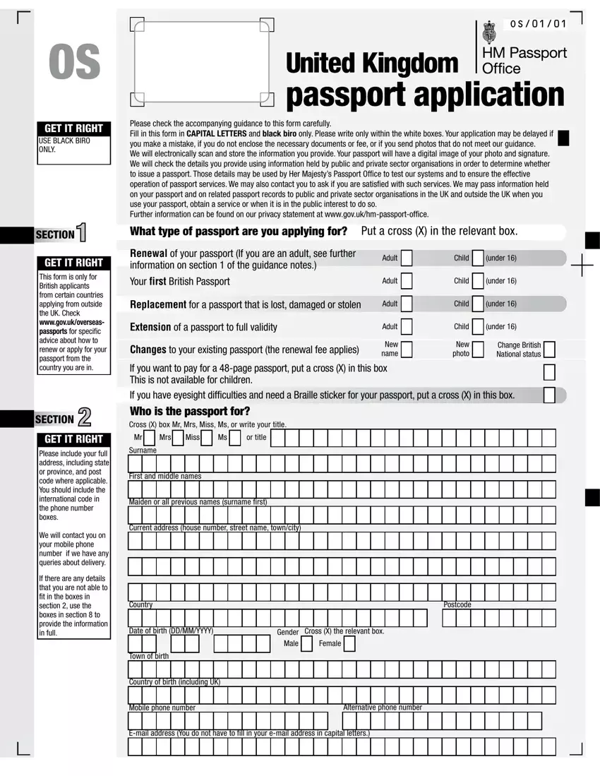 adult passport form