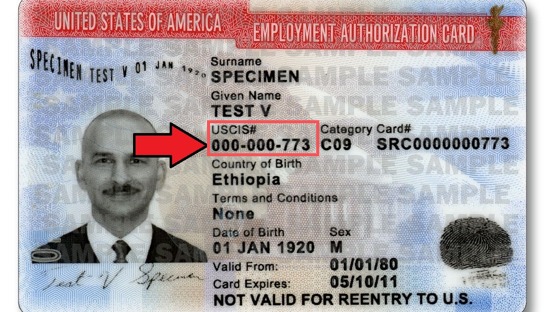 alien number in passport