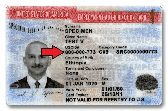 alien number passport