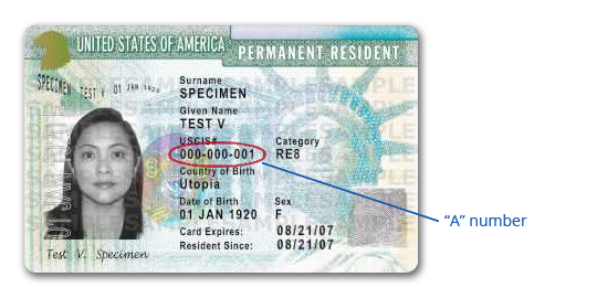 alien registration i 94 number on passport