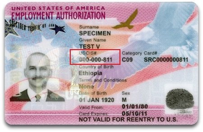 alien registration i 94 number on passport