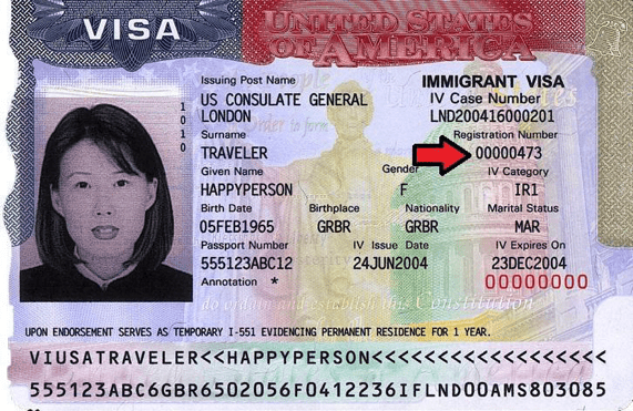 alien registration number on passport