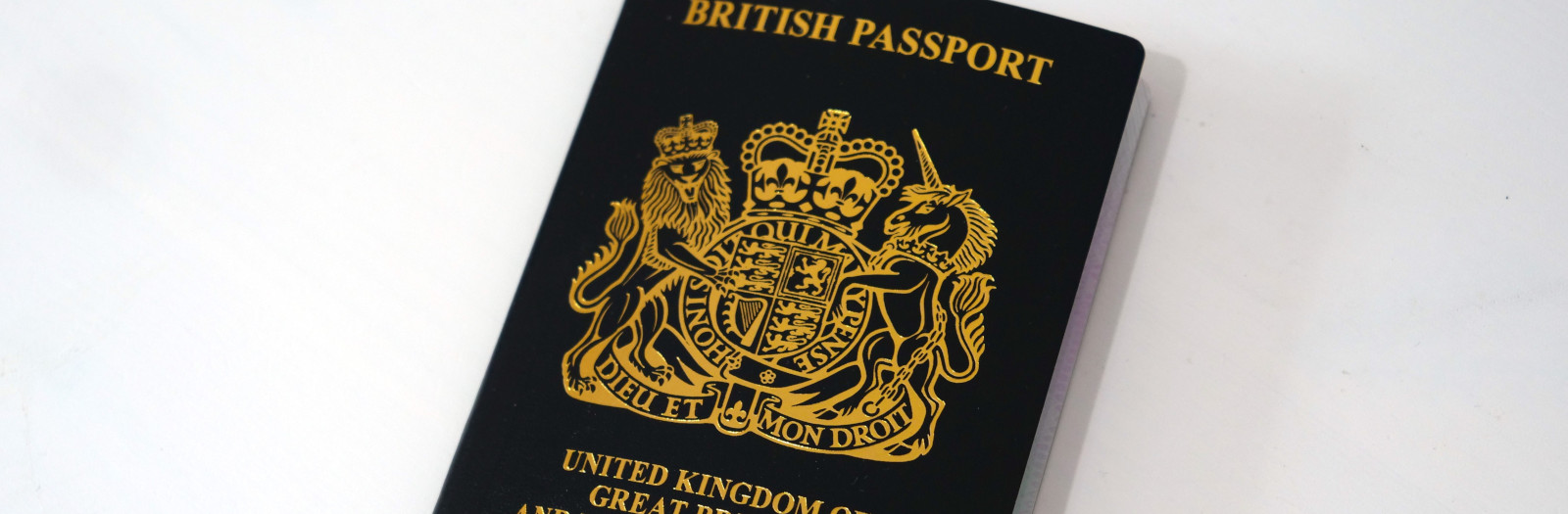 ambassador passport