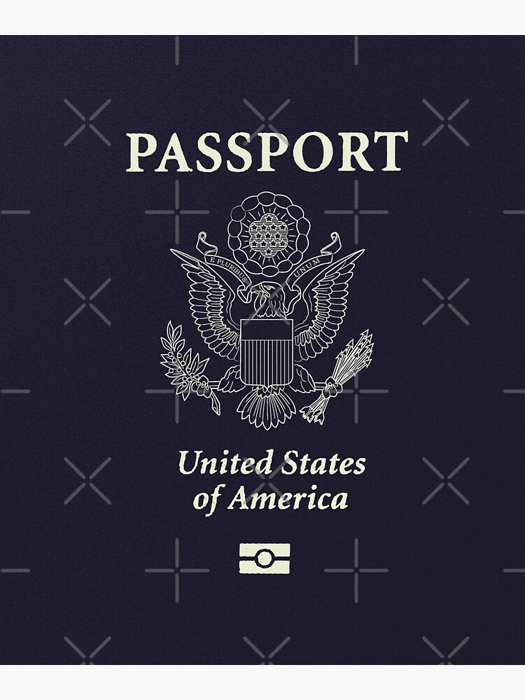 american biometric passport