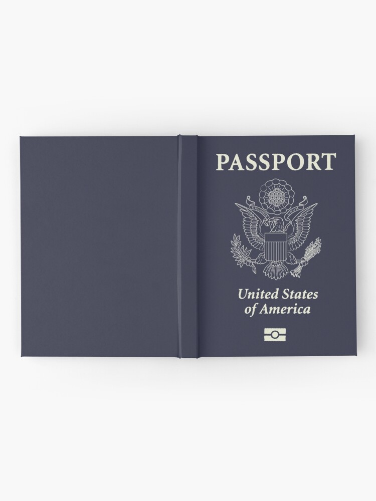 american biometric passport