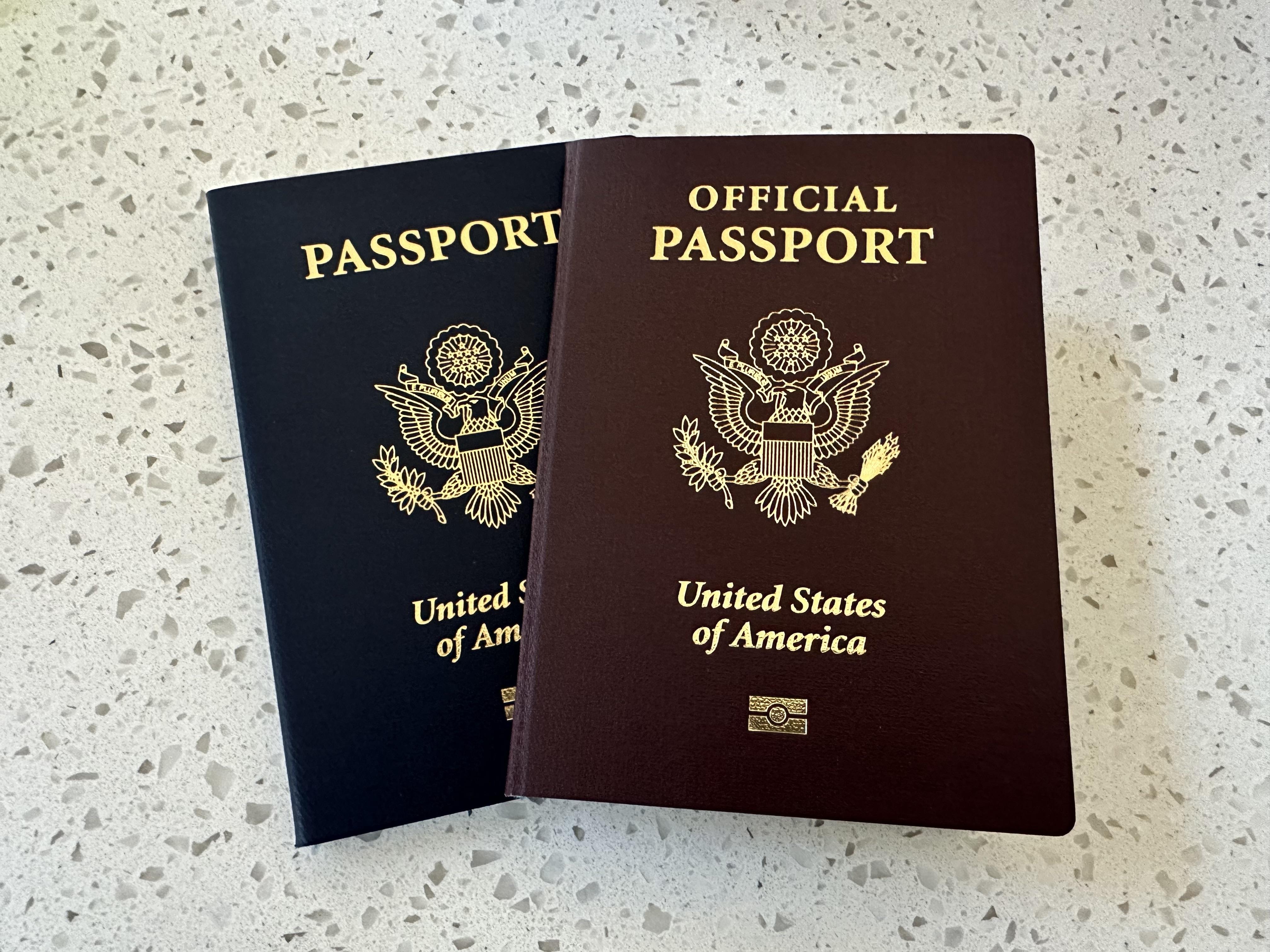 american diplomatic passport