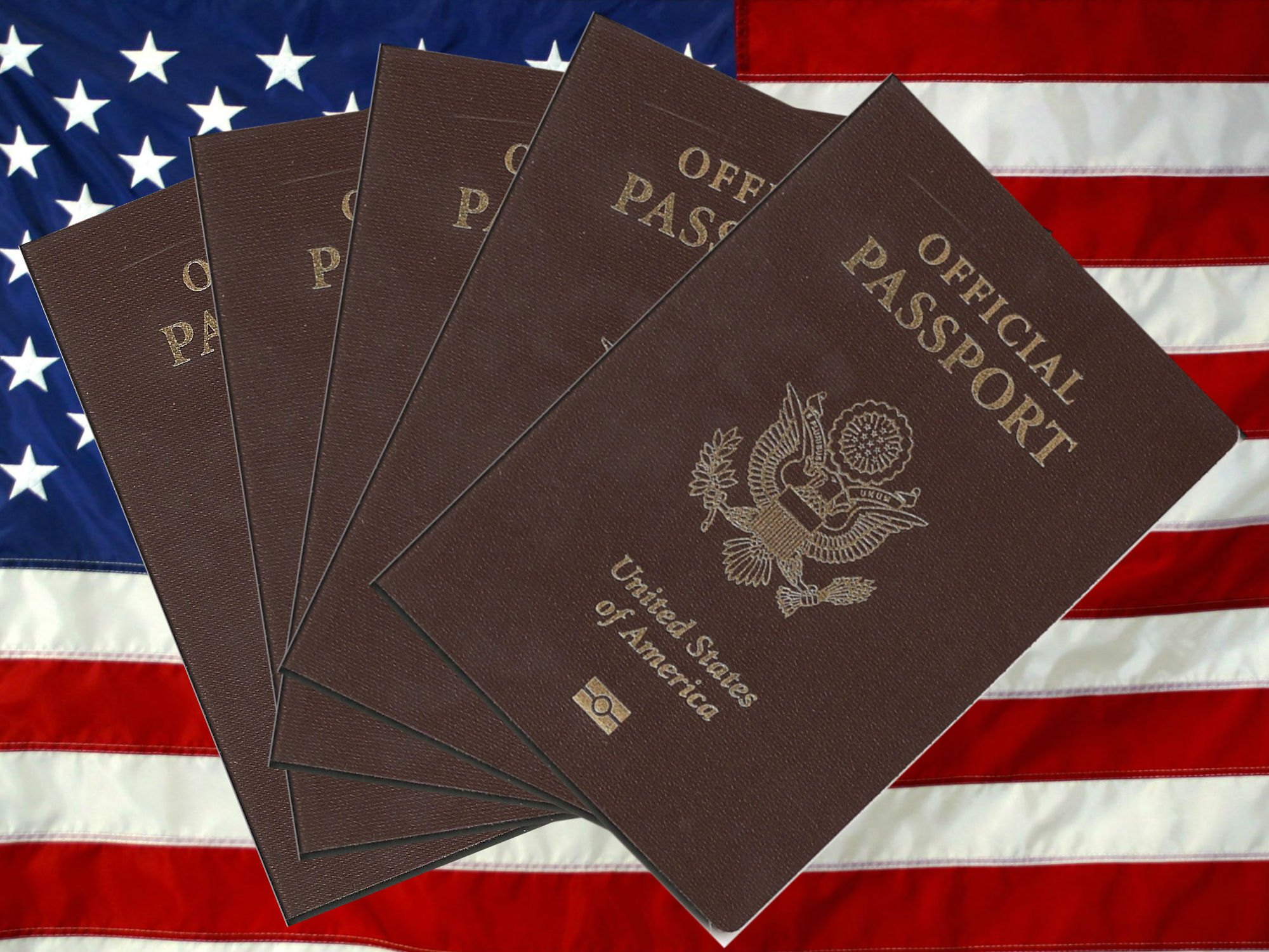 american passport color