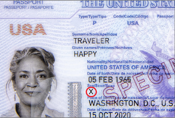 american passport for a minor