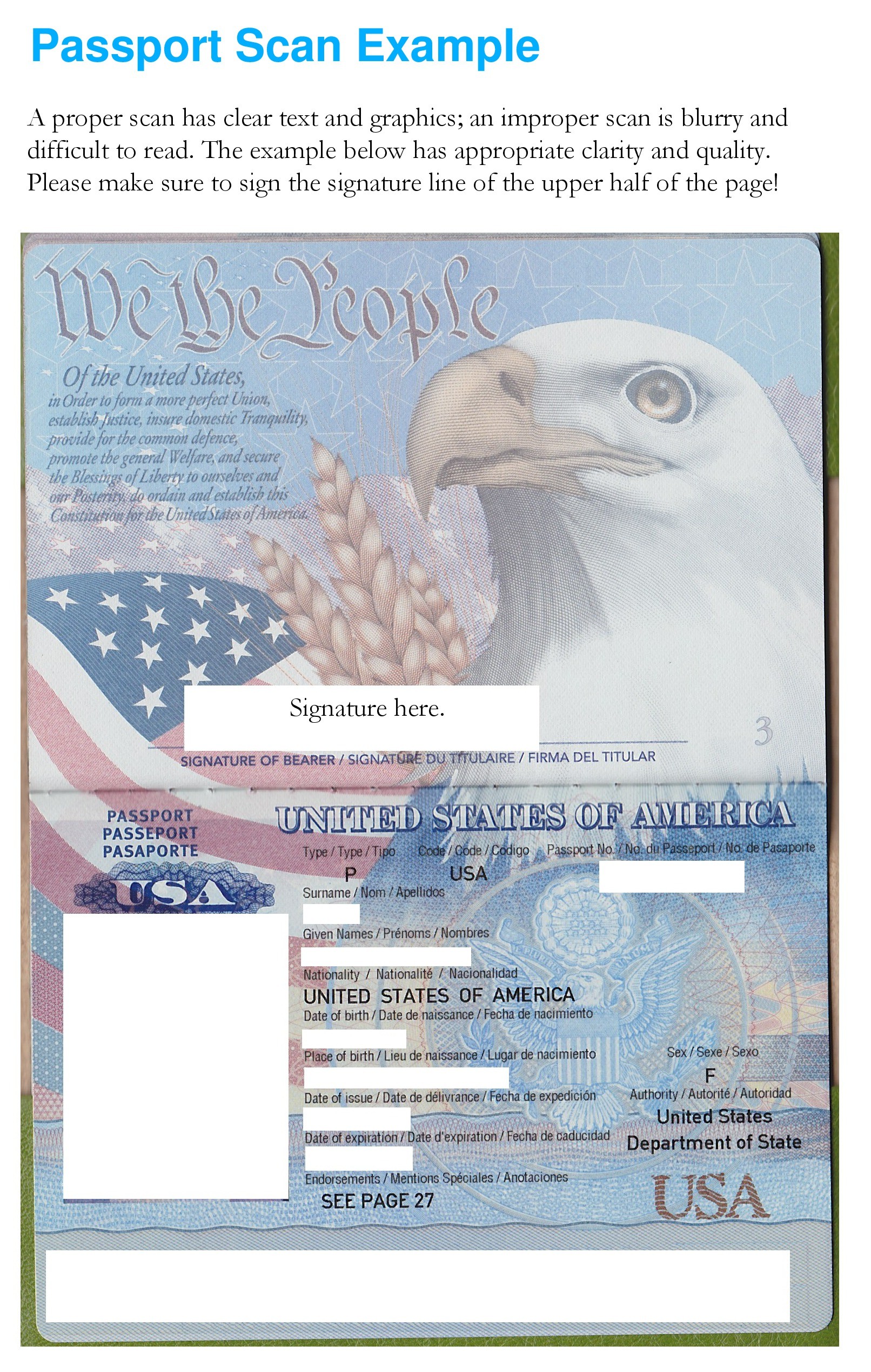 american passport sample