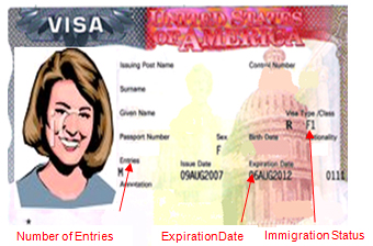 american visa number on passport