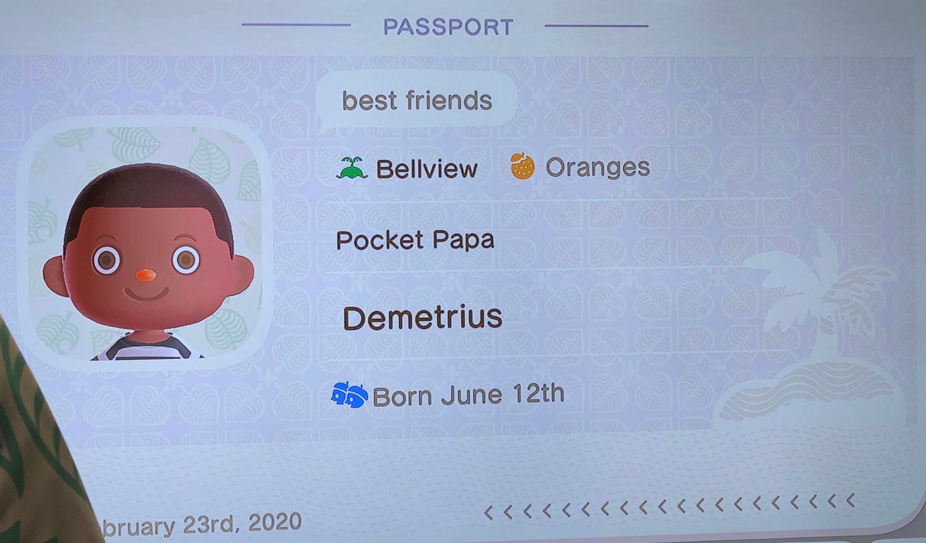 animal crossing passport