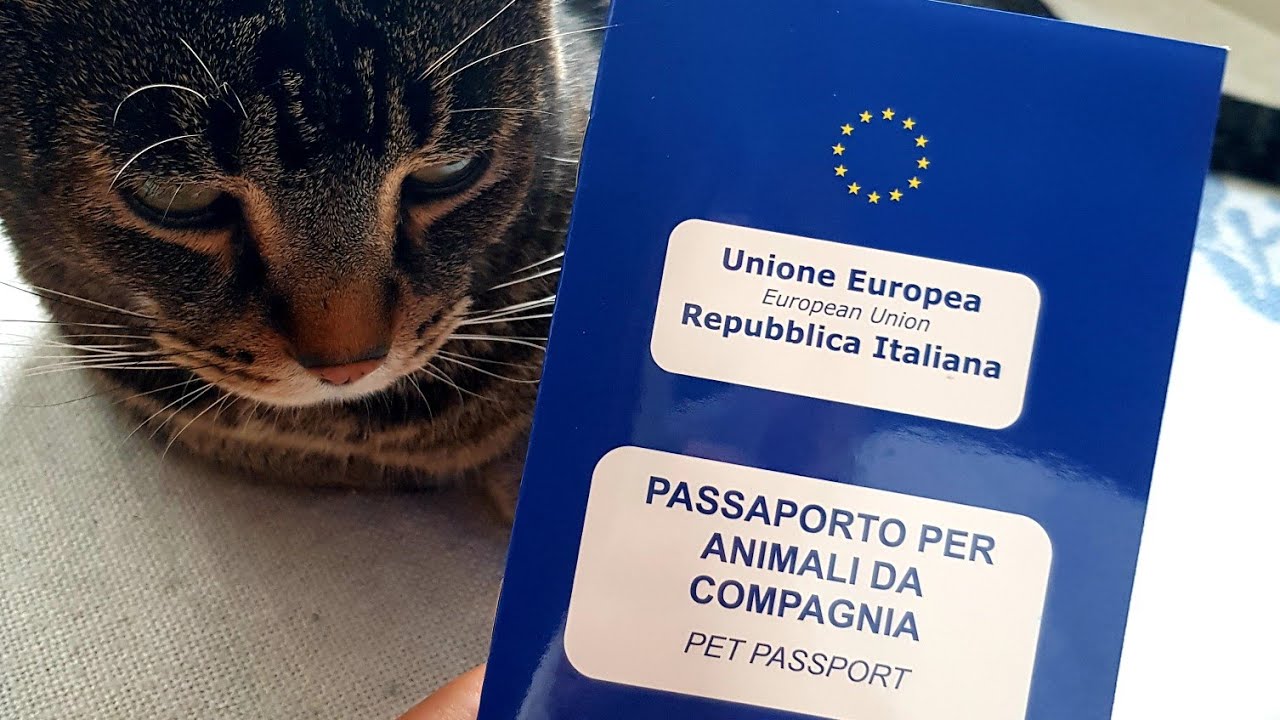 animal passport eu