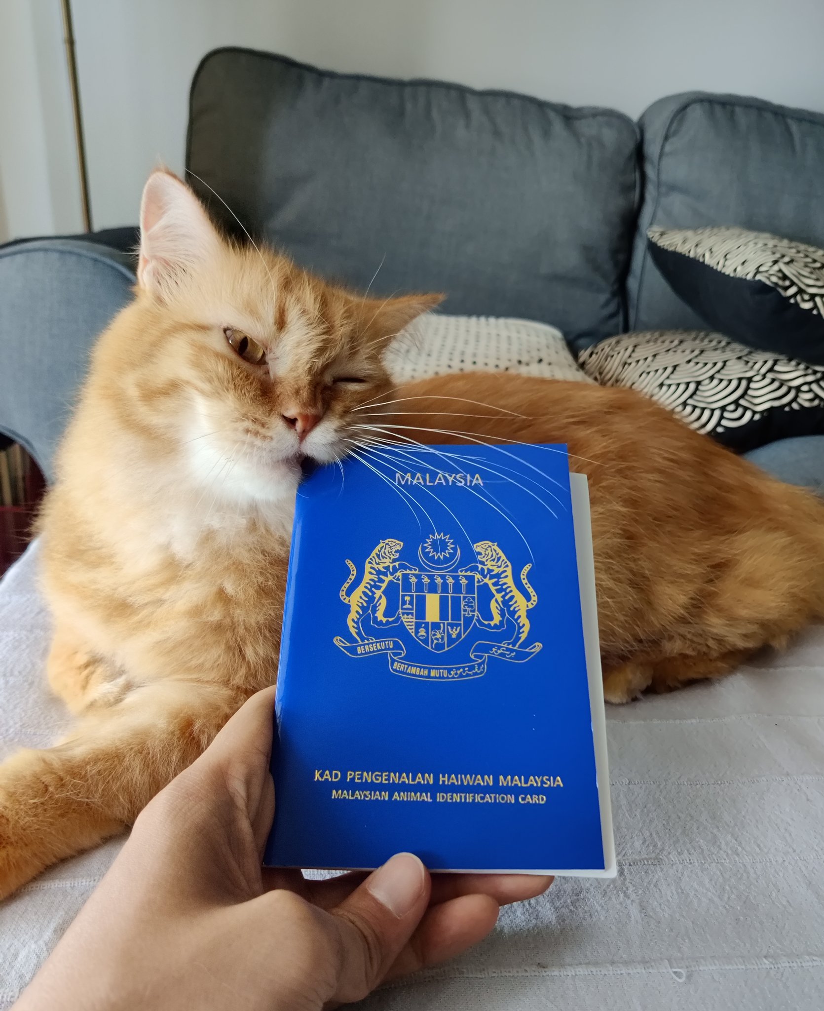 animal passports