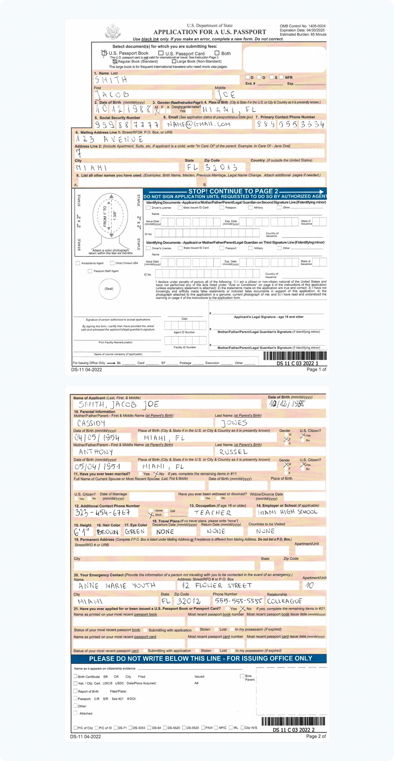 application for a us passport example