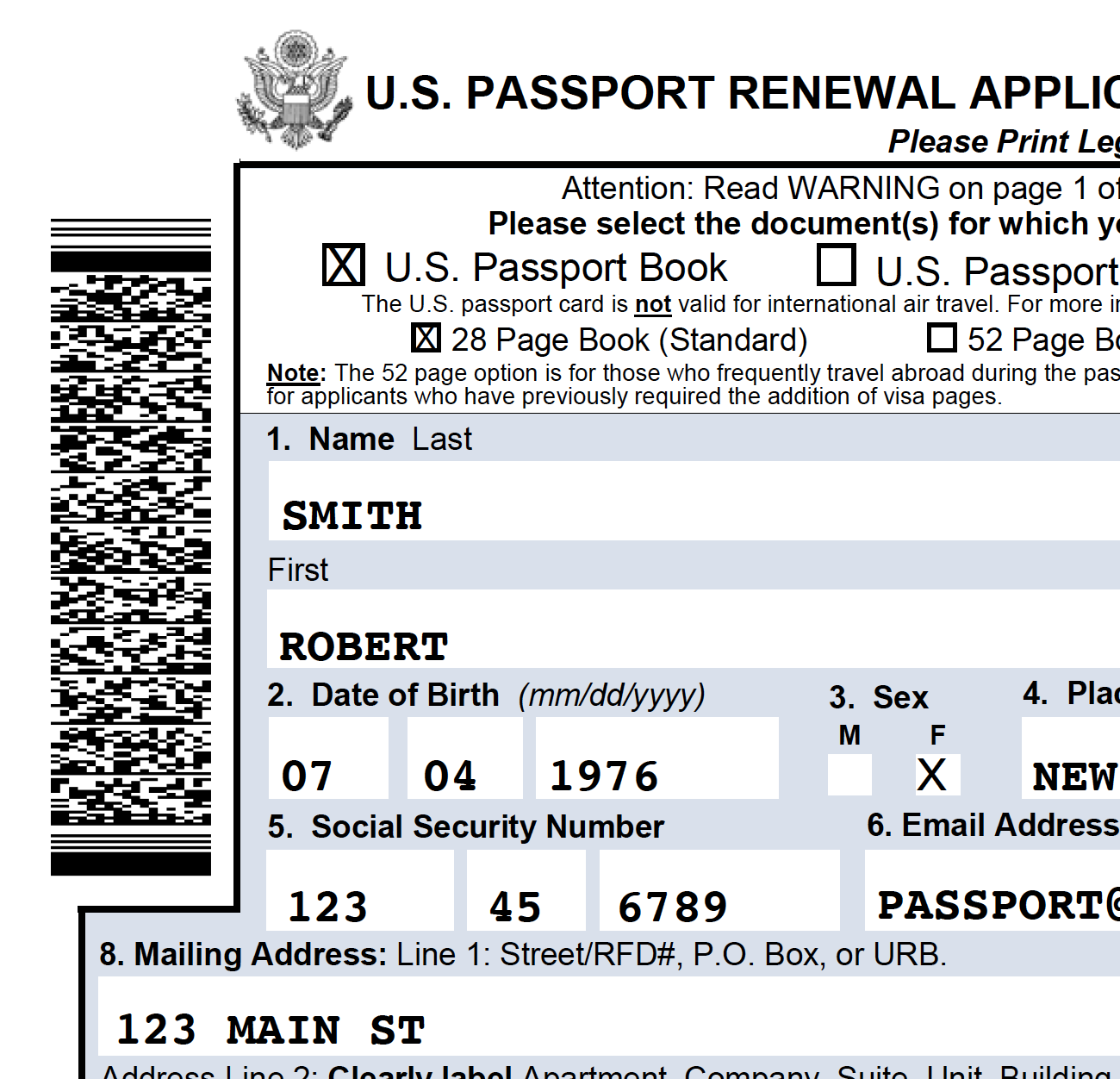 application for a us passport example