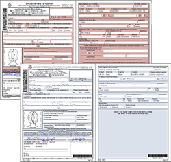 application for a us passport example