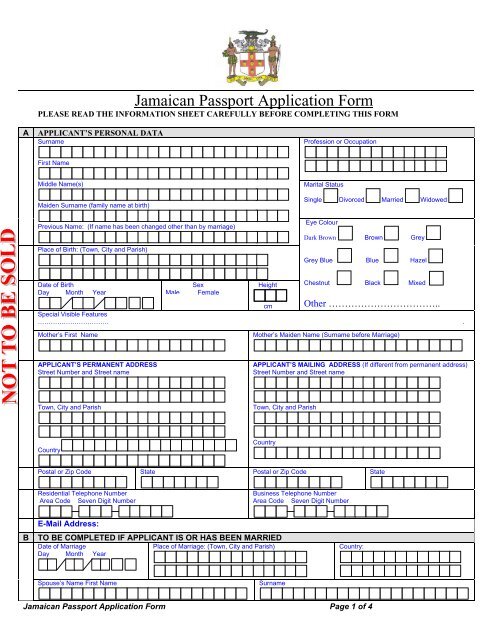 application for passport form