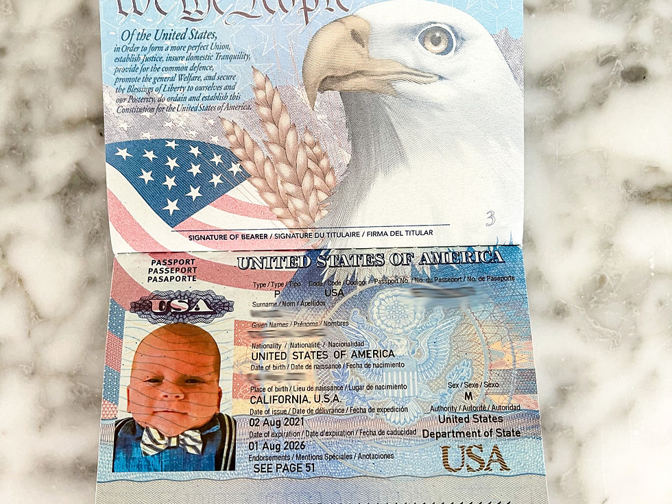 apply for us passport for newborn