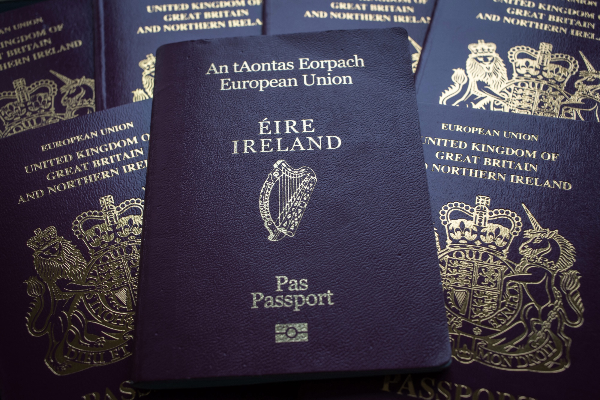 applying for an irish passport