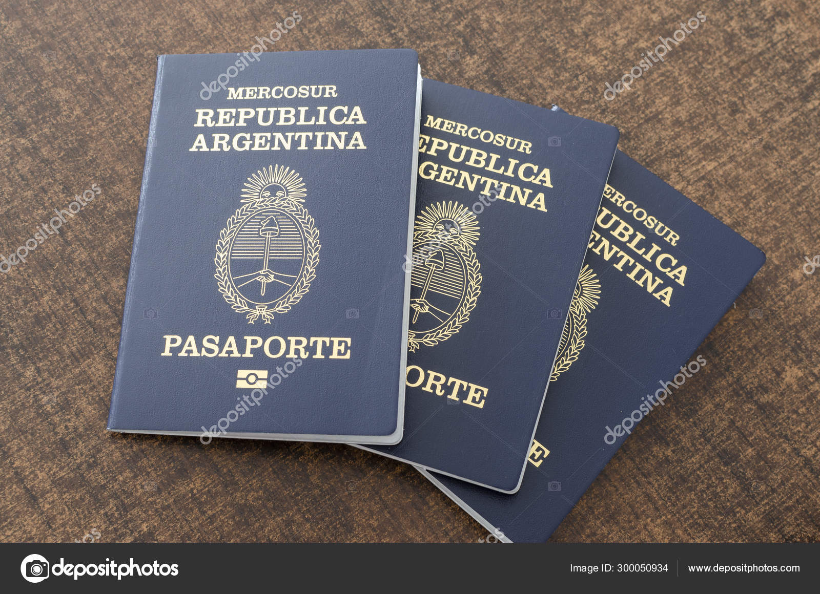 argentina passport