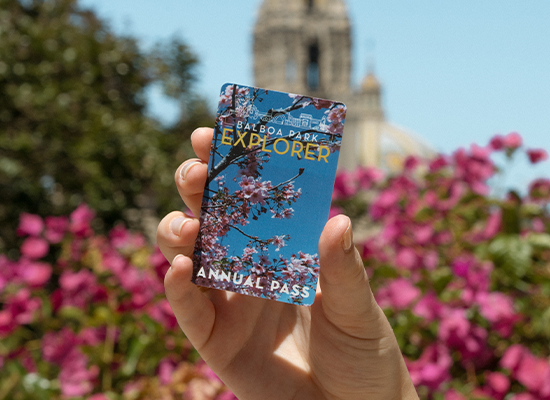 balboa park passport