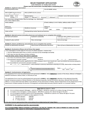 belize passport application