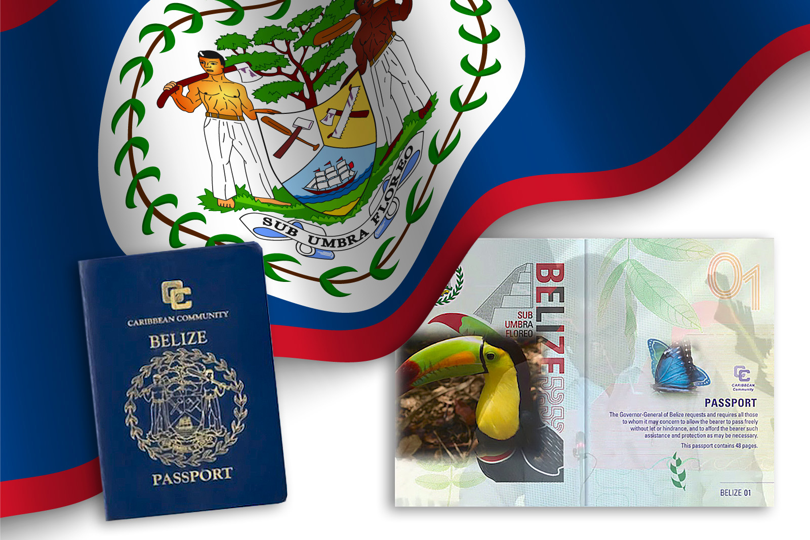 belize passport application