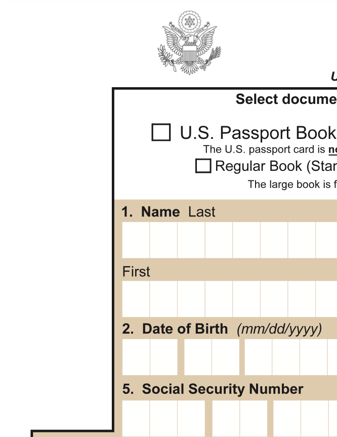 blank passport application