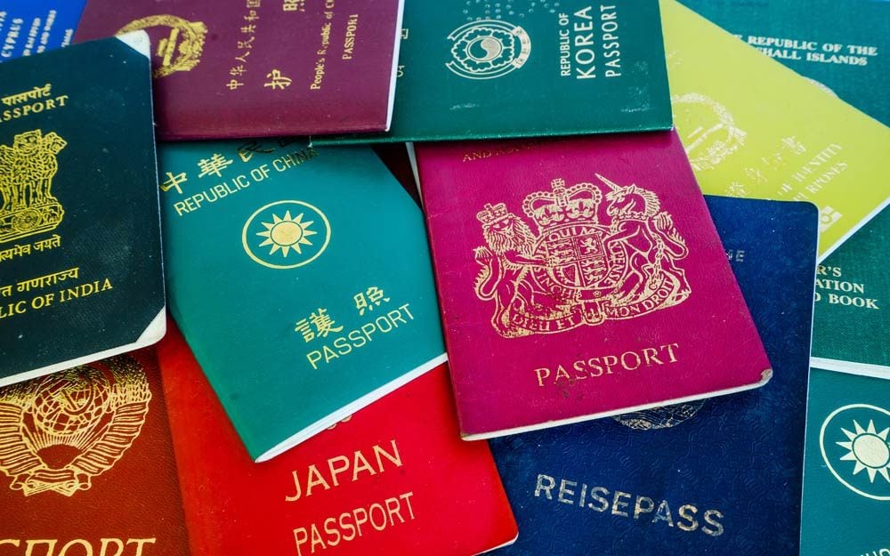 blue passport meaning