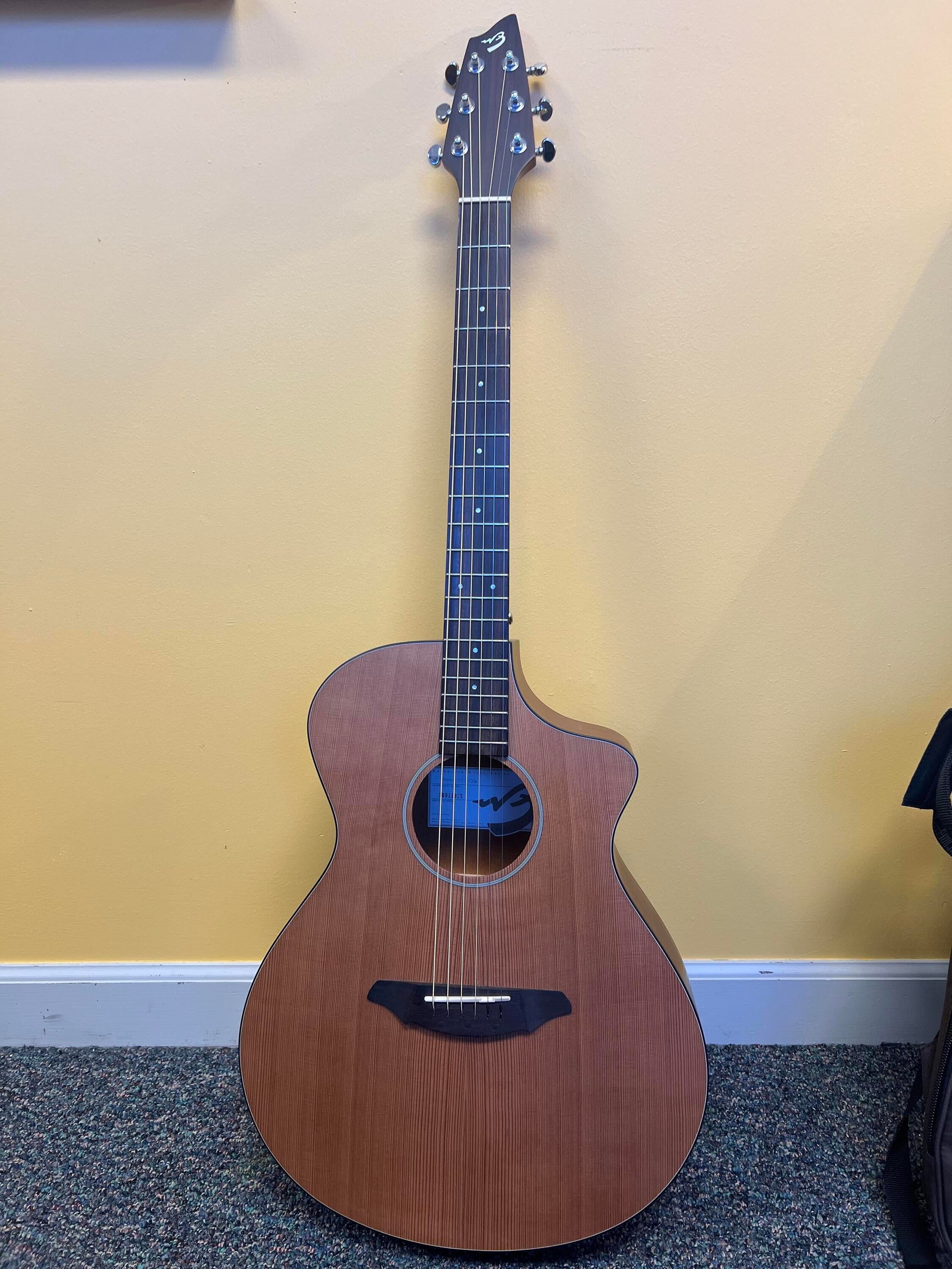 breedlove passport c250 cme