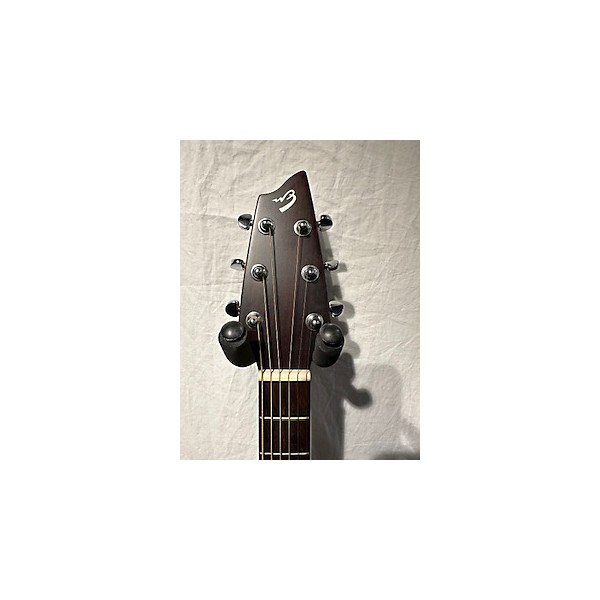 breedlove passport c250 cme