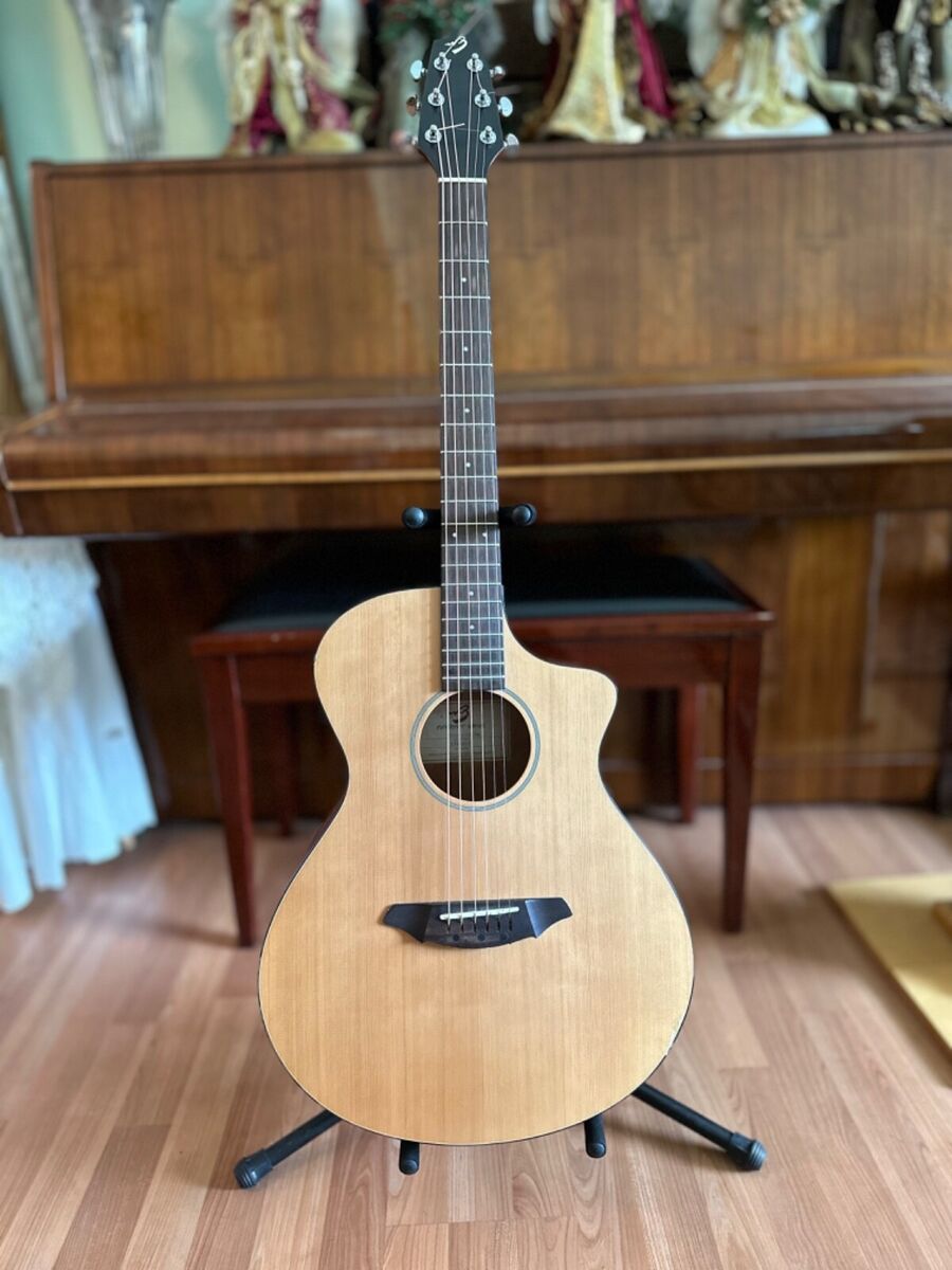 breedlove passport c250 cme