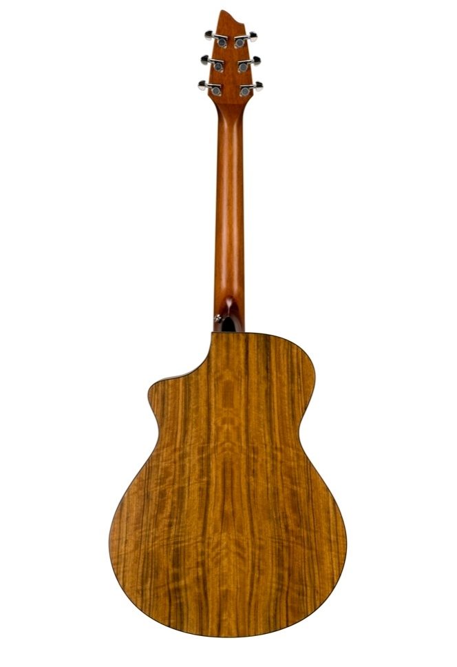 breedlove passport