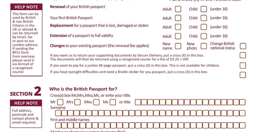 british passport renewal application form