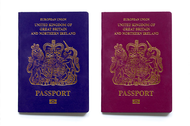 british passports renewal