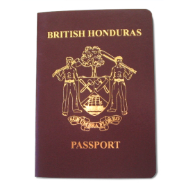 camouflage passports