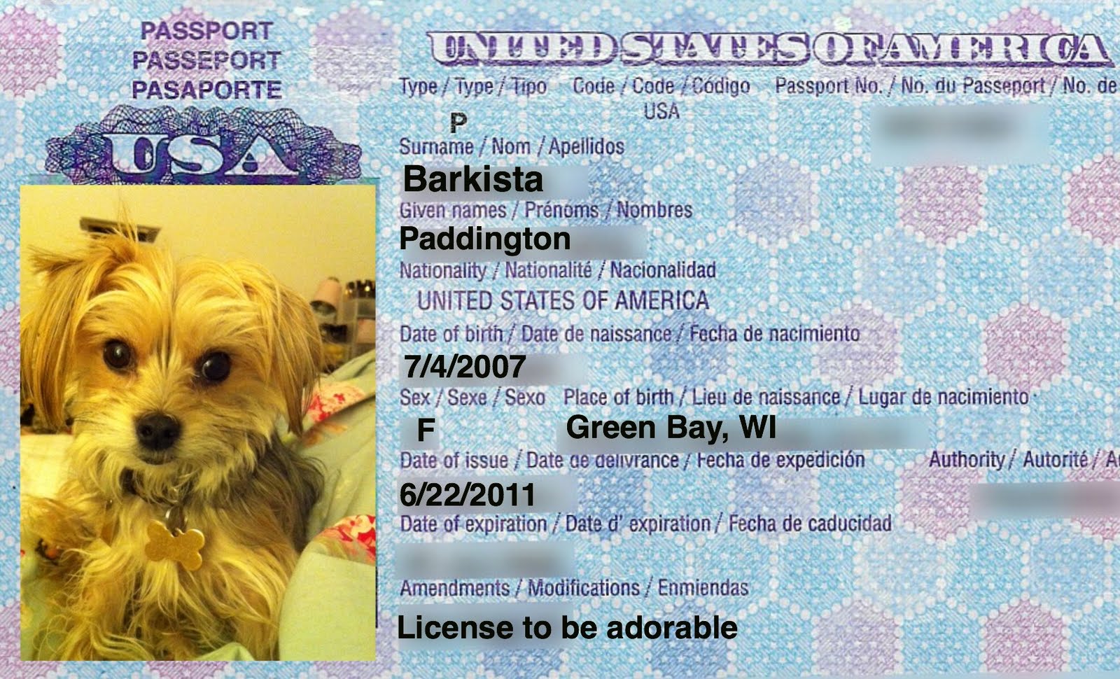 can dogs have passports