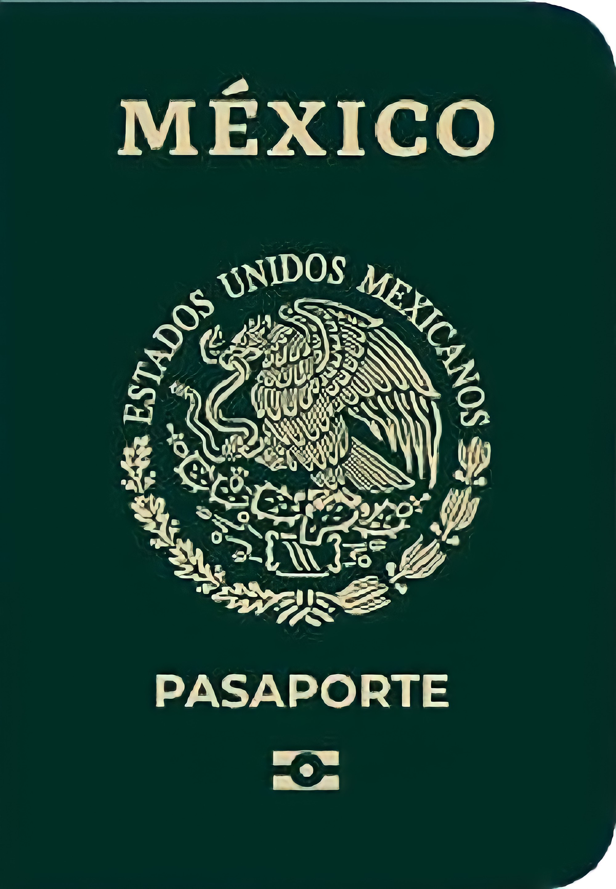 can i travel in the us with mexican passport