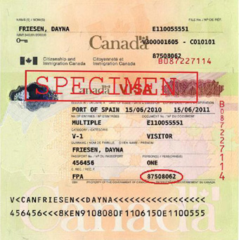 can us citizen travel to canada without us passport