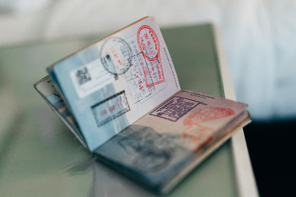 can you fly domestically with an expired passport