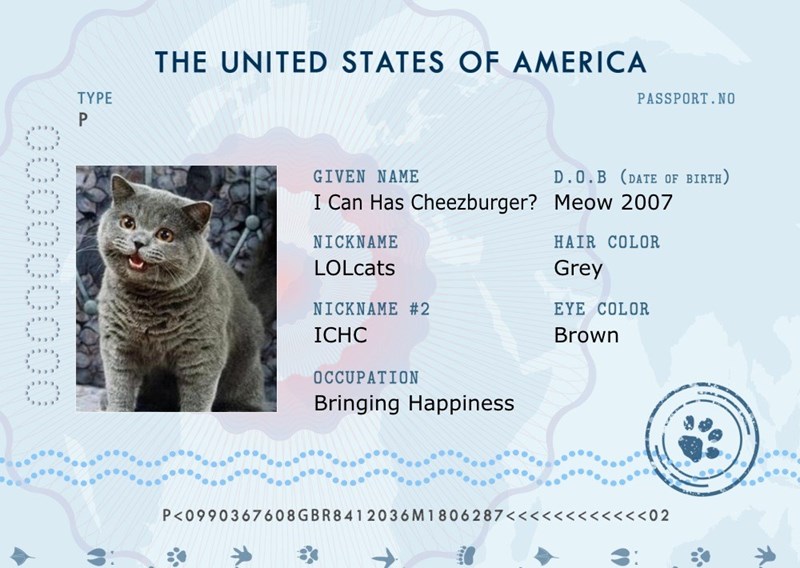 cat passport usa