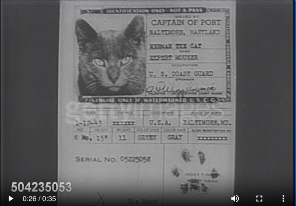 cat passport