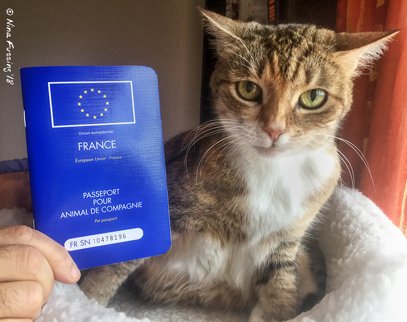 cat passports