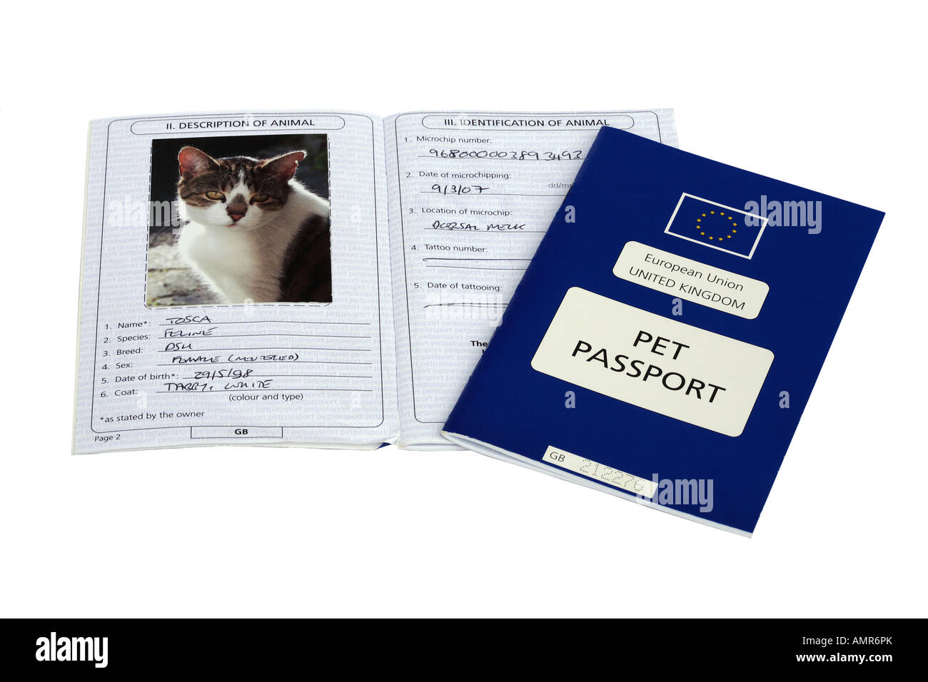 cat pet passport