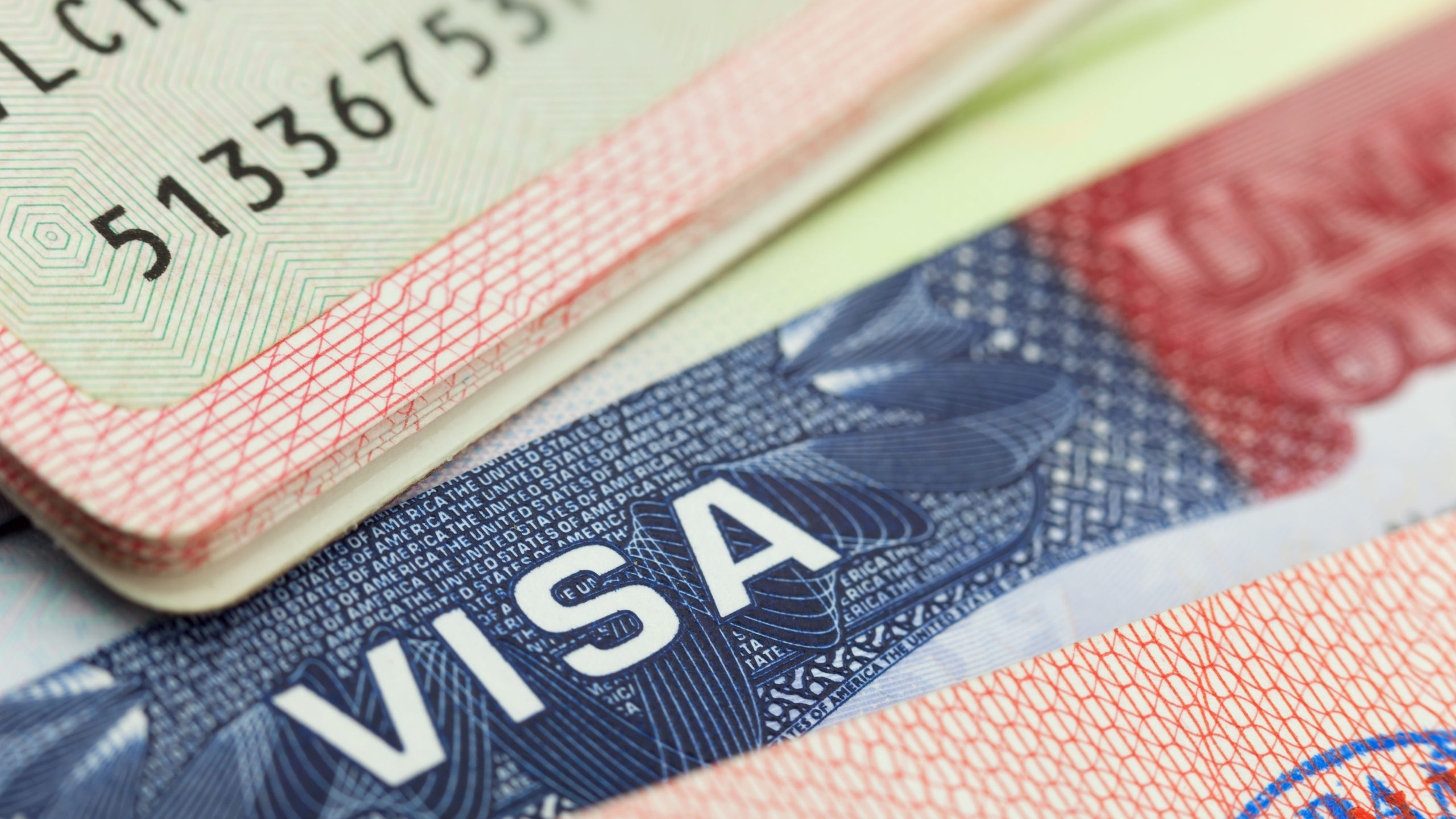 check passport status for us visa