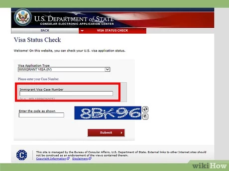 check passport status us visa