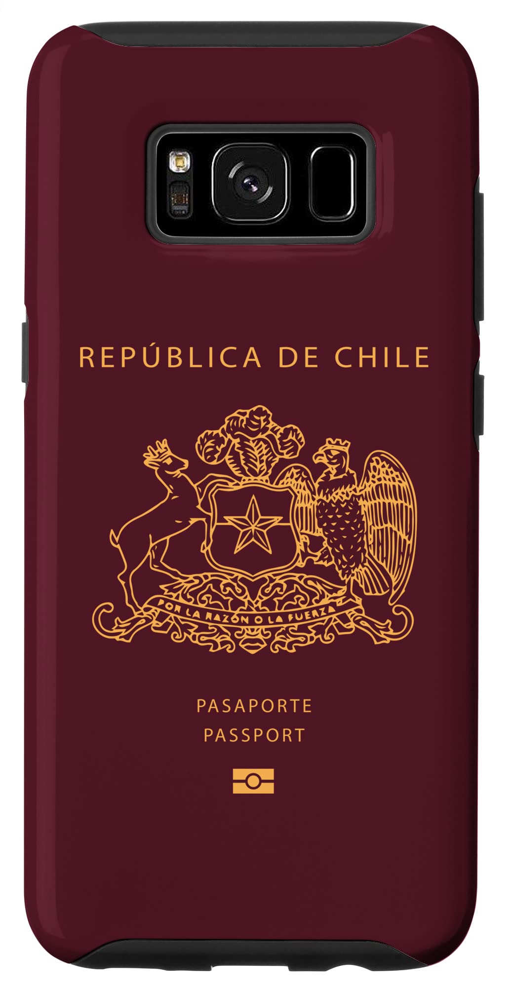 chile passport