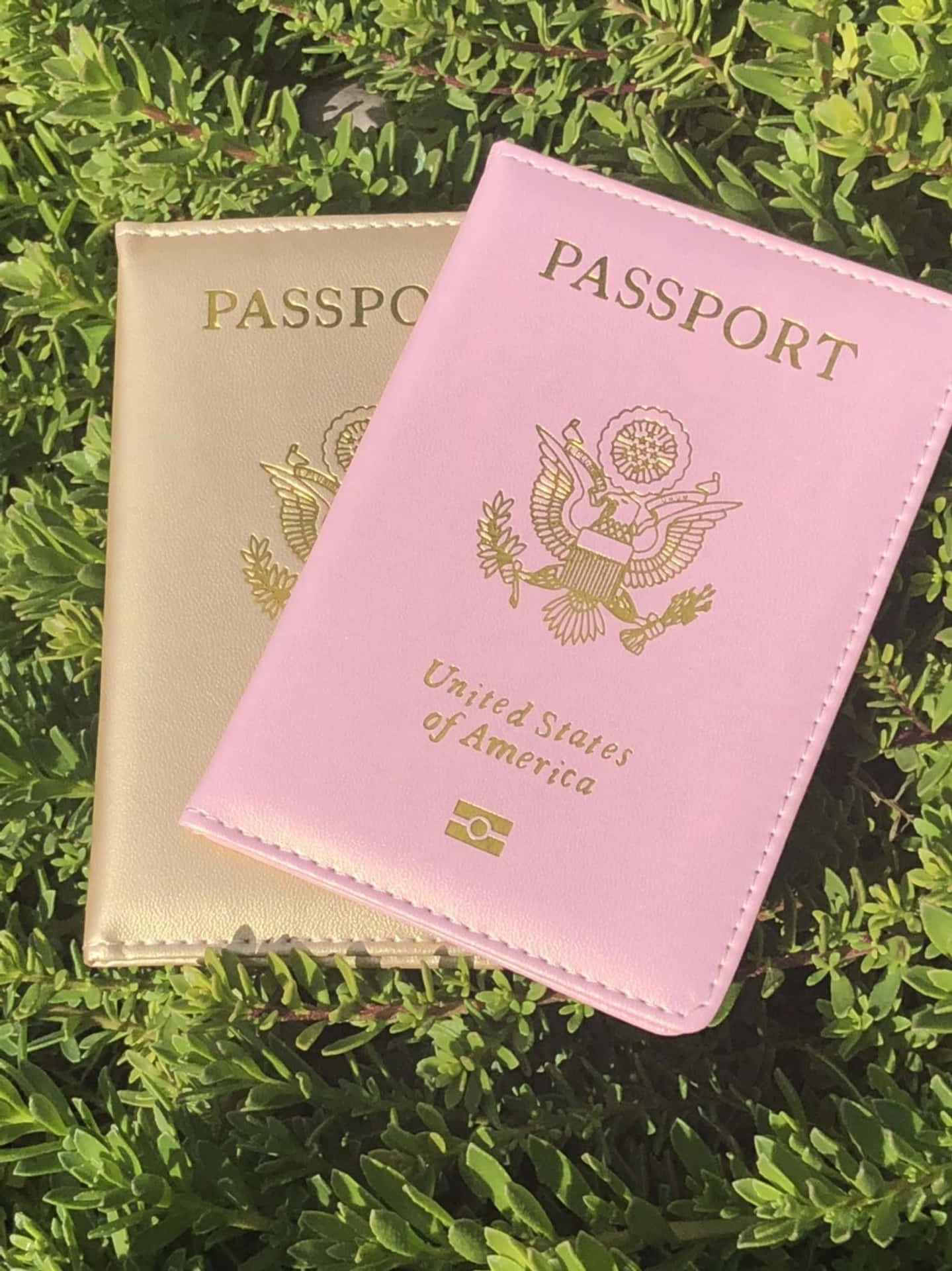 colorful passport